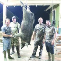Hunting Wild Boar with Pigman By: Nathan Reynerson